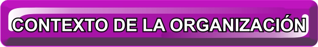 CONTEXTO DE LA ORGANIZACIÃƒÆ’Ã†â€™ÃƒÂ¢Ã¢â€šÂ¬Ã…â€œN