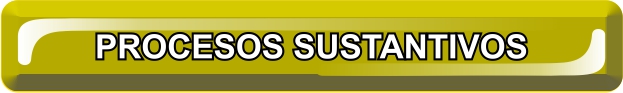 PROCESOS SUSTANTIVOS